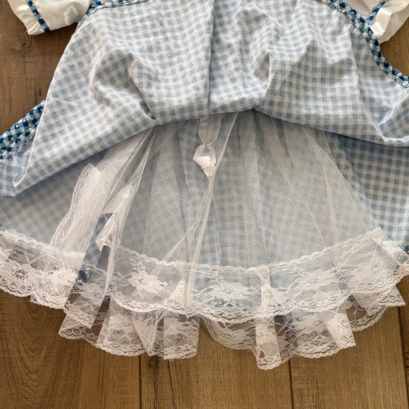 New-The Wizard of Oz Blue and White Checkered Dorothy Costume (small 4-6yrs) - Picture 5 of 6